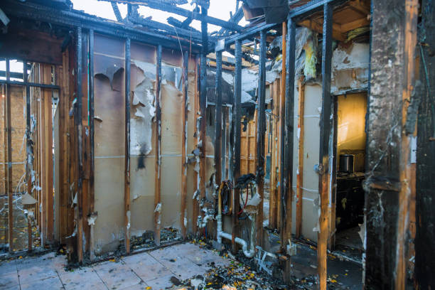 Professional Odor Removal technician working in Prospect, OH